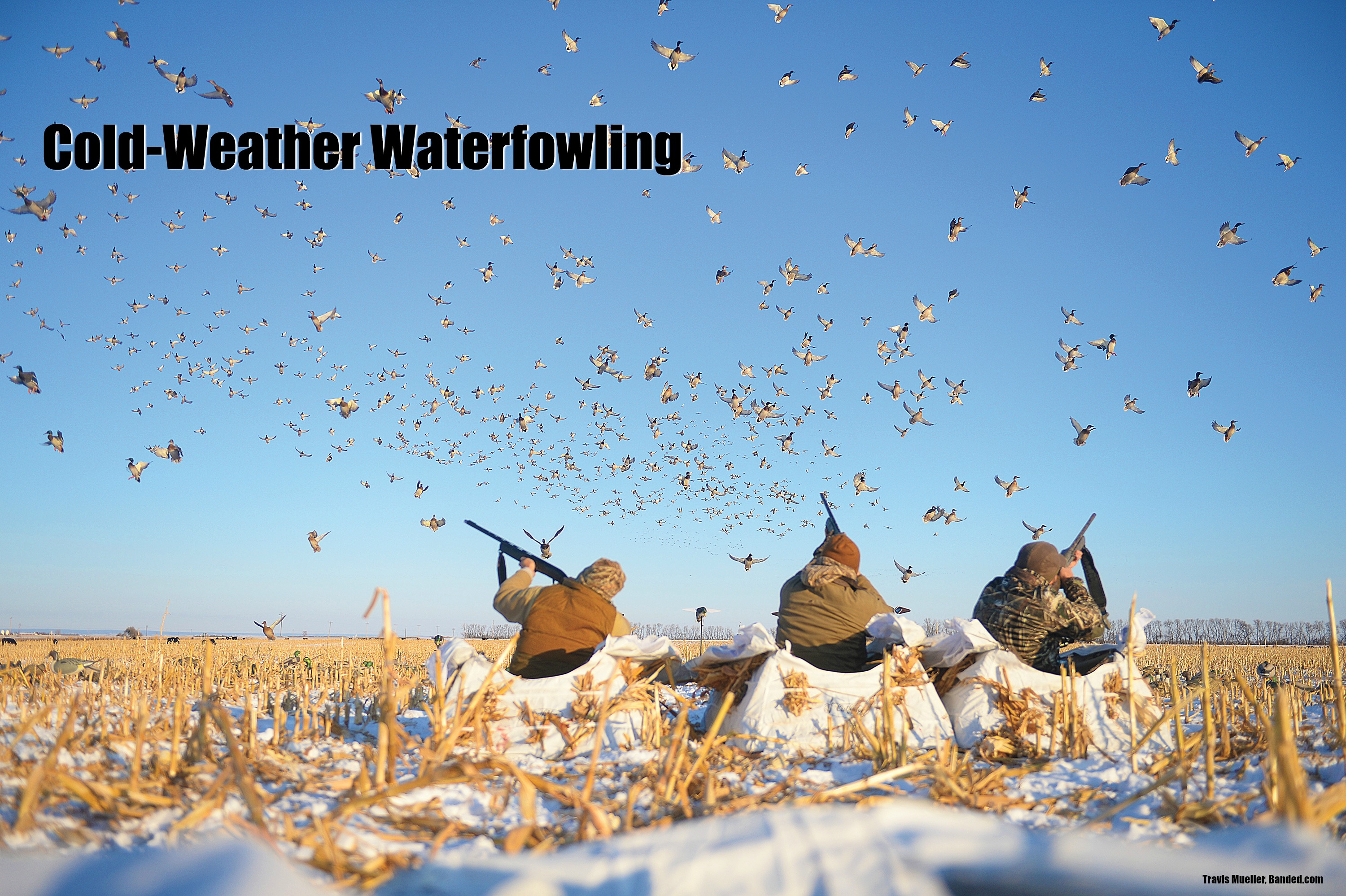 The Cold-Weather Waterfowling Issue: January 2018